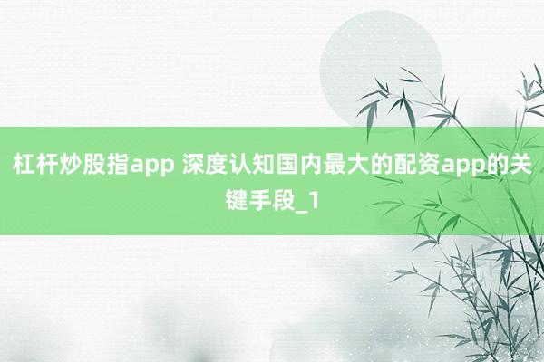 杠杆炒股指app 深度认知国内最大的配资app的关键手段_1