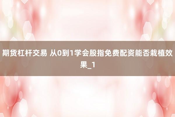 期货杠杆交易 从0到1学会股指免费配资能否栽植效果_1